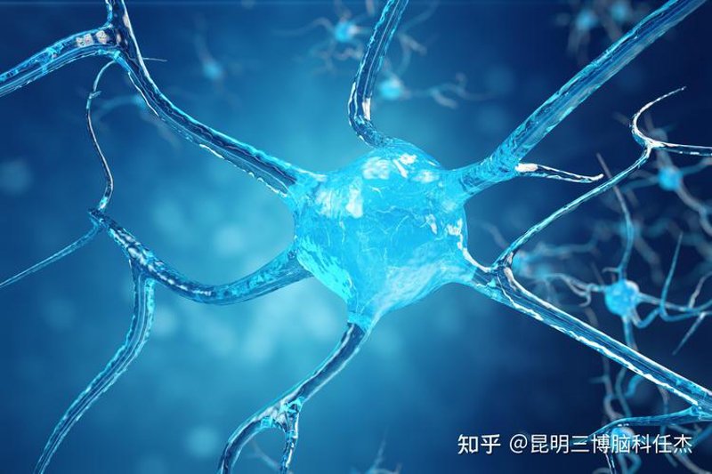 上海脑科医院选择新攻略：专业诊疗与科学治疗的结合